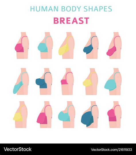 flat chested mature|The 12 Different Breast Shapes and Types .